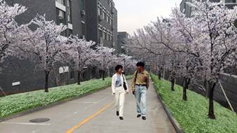 说明: http://wcm.sdyu.edu.cn/webpic/W0201805/W020180511/W020180511428301377330.jpg